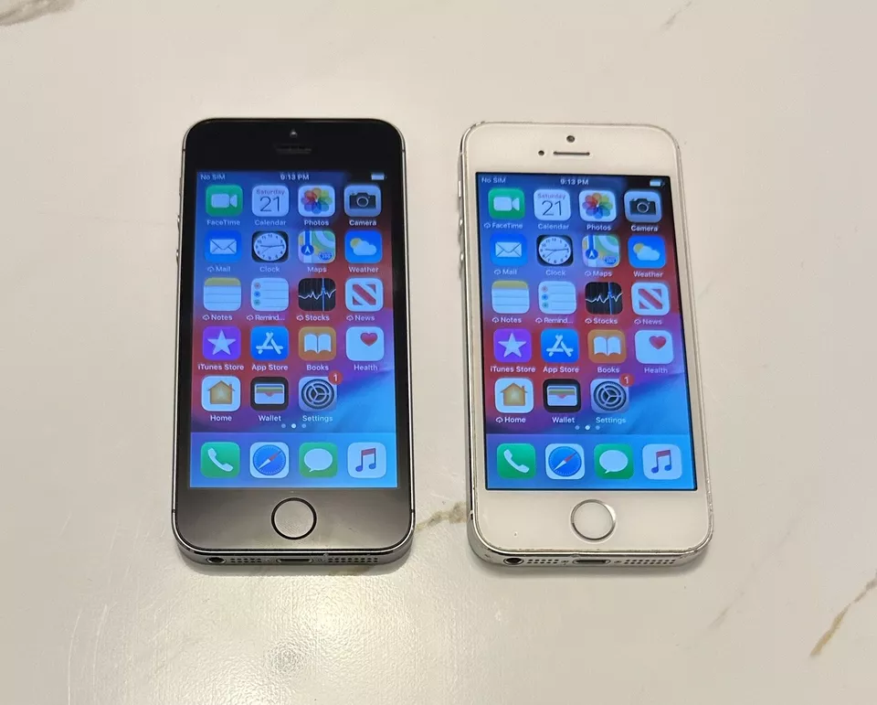 Apple iPhone 5 (Silver & Space Gray)